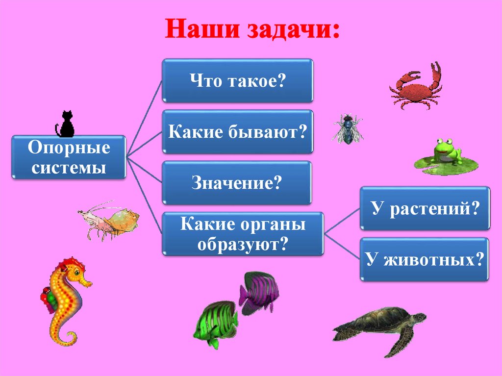 Органы опоры движения животных. Скелет опора организма у животных. Опорная система живого организма. Опорные системы животных. Опорные системы растений и животных.