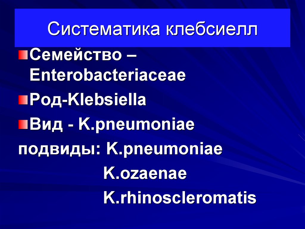 Сайт систематик. Клебсиелла микробиология таксономия. Клебсиеллы систематика. Клебсиелла классификация. K. pneumoniae таксономия.