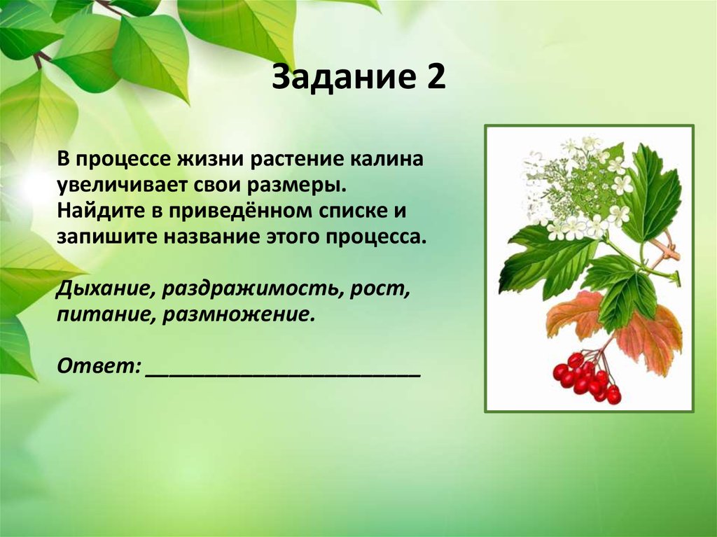 Процессы в жизни растений 5 класс биология