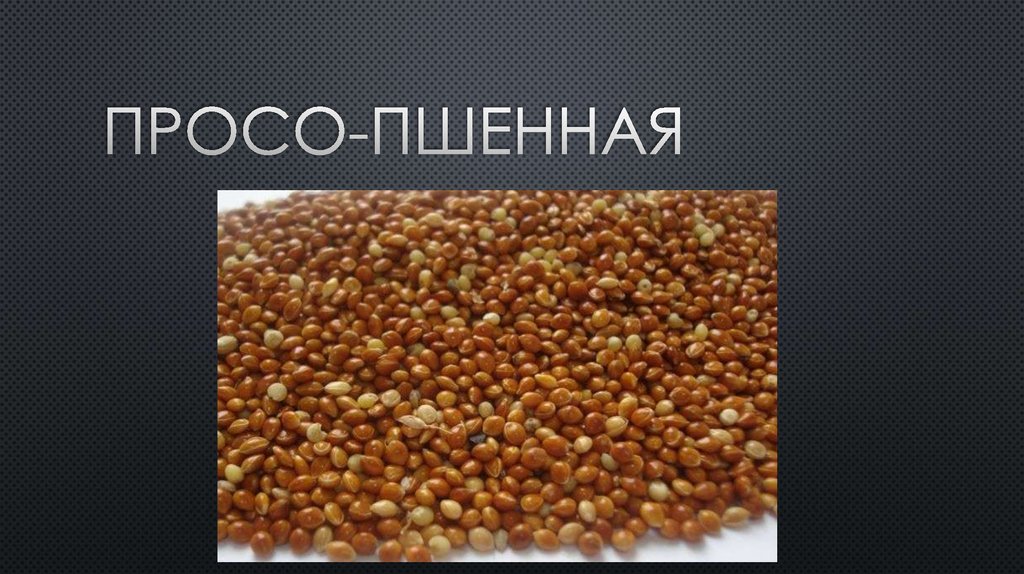 Просо-пшенная