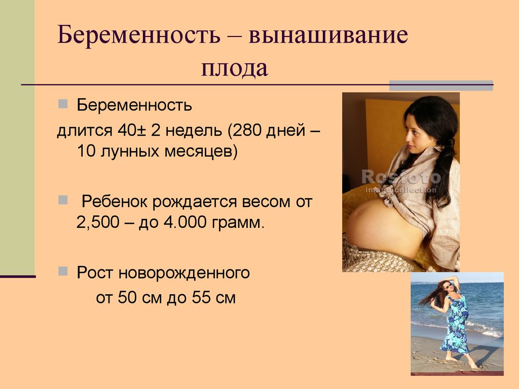 Сколько месяцев беременности женщине
