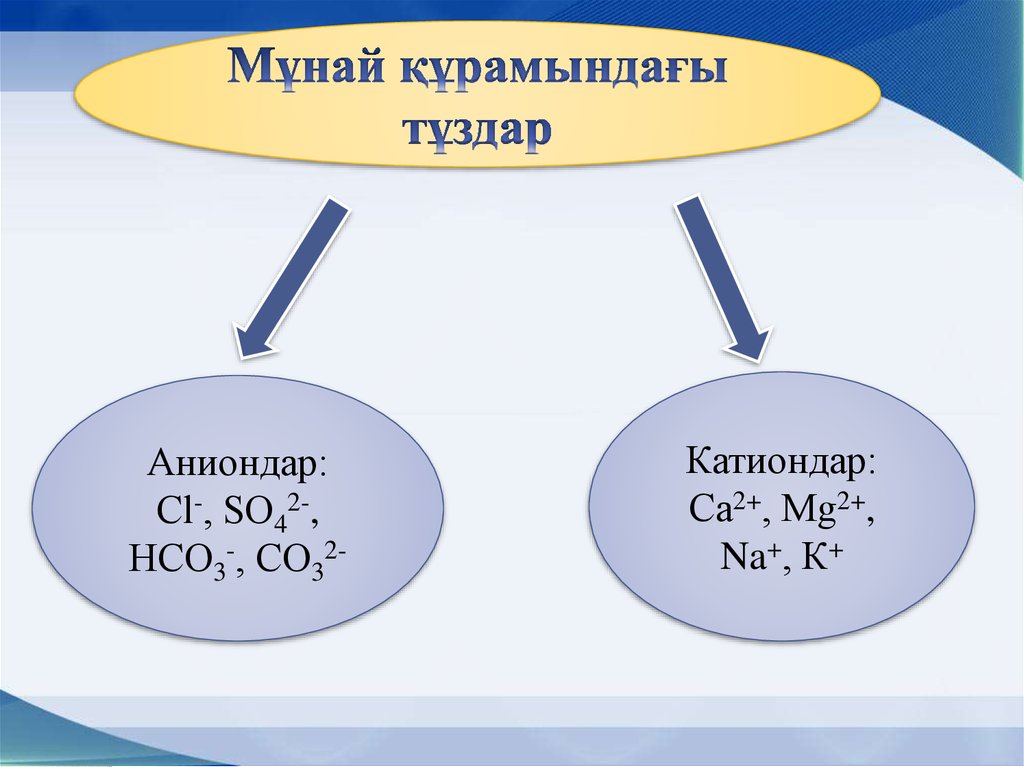 Тұз туралы презентация