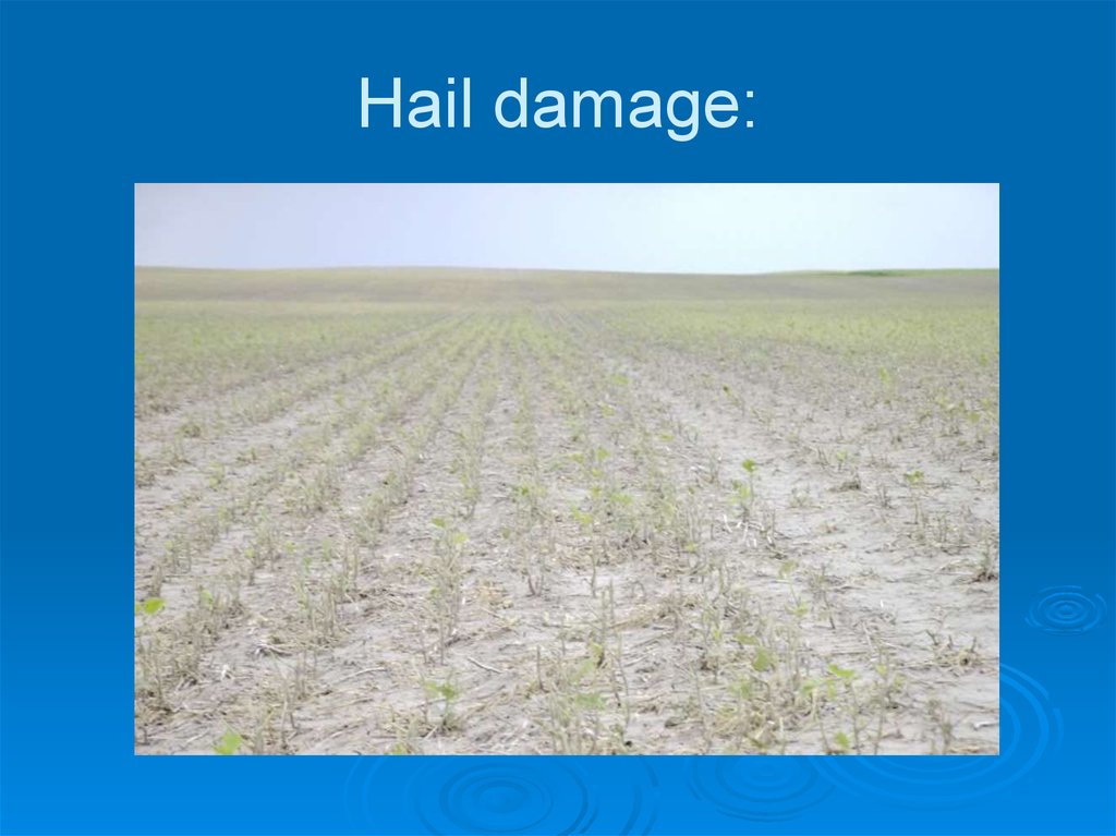 hail-definition-of-hail-online-presentation