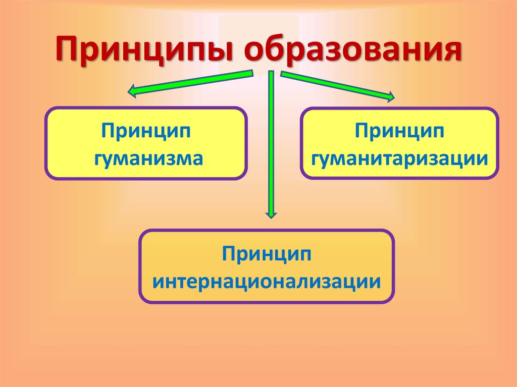 Принципы образования схема