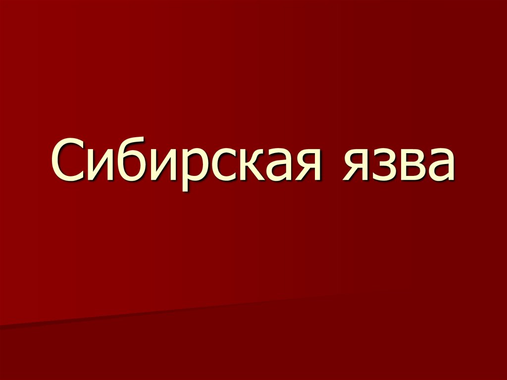 Сибирская язва