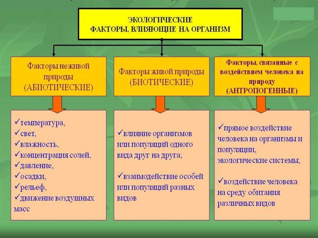 Схема экологические факторы 6 класс