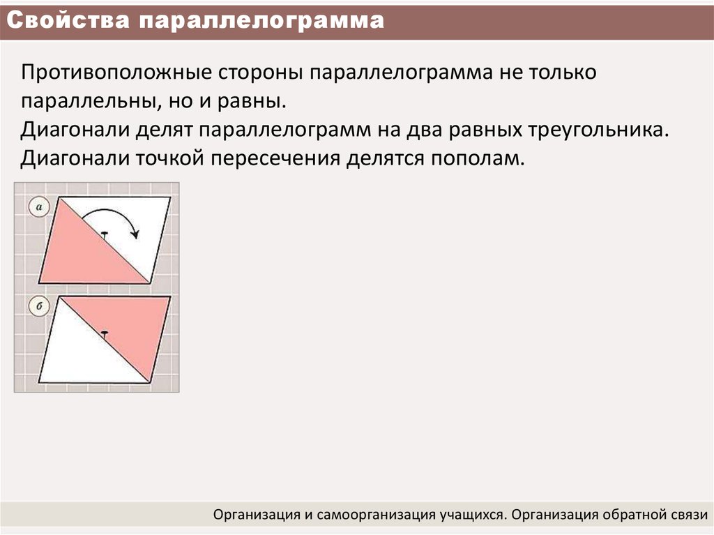 Какие треугольники равны в параллелограмме. Противоположные стороны параллельны и равны. Равновеликие треугольники в параллелограмме.