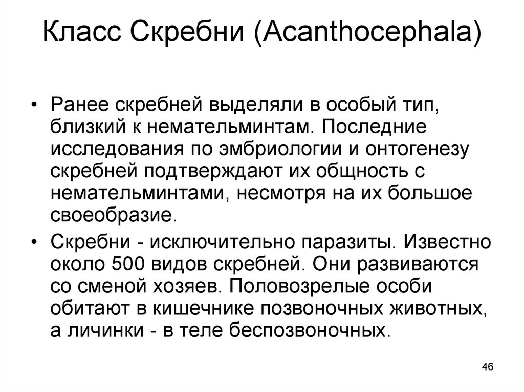 Ближайший тип. Класс скребни. Скребни представители. Общая характеристика скребней.