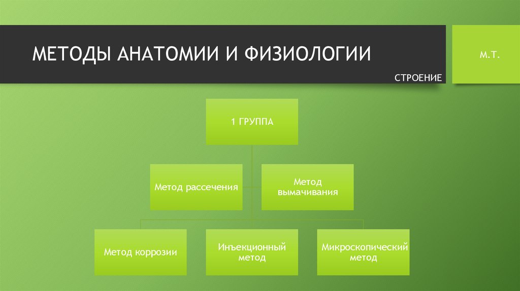 3 анатомических метода. Методы анатомии и физиологии. Методы изучения анатомии и физиологии. Методы исследования в анатомии. Методы изучения анатомии и физиологии человека.