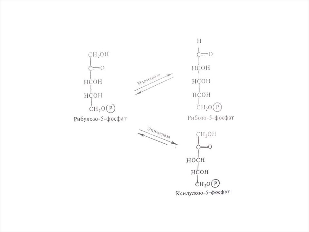 Hcoh. Hcoh c6h12o6. Hcoh. Hcoh h2. Ch3oh hcoh таблица.