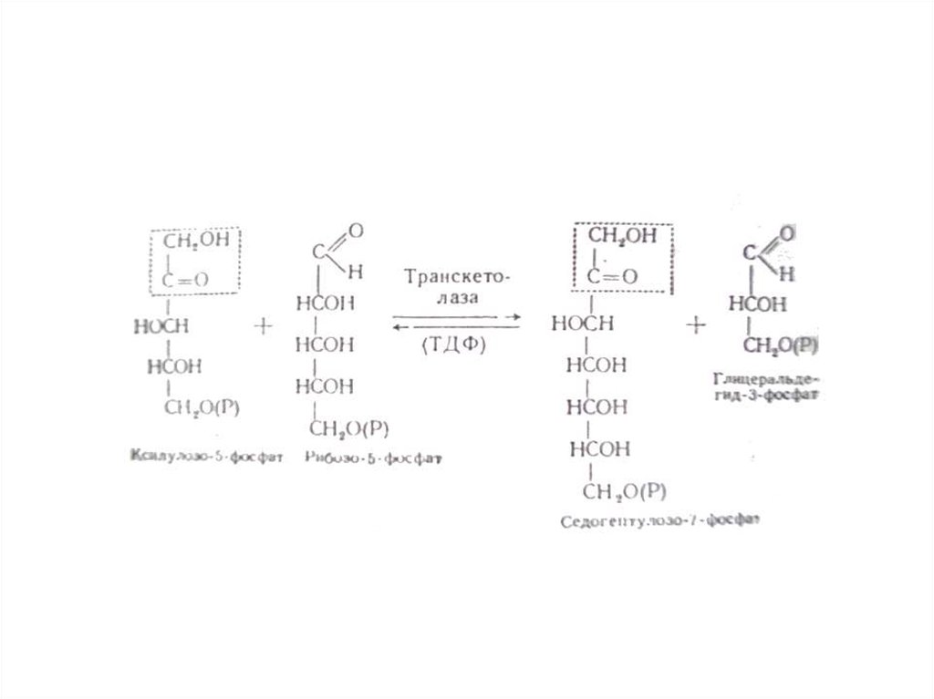 Hcoh класс. HCOH. HCOH c6h12o6. HCOH o2. HCN+ HCOH.