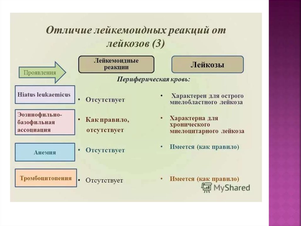 Лейкозы лейкемоидные реакции