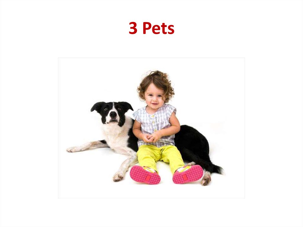 Пет три буквы. Present Pets с пятнышками мальчик. Multitex Pet презентация. Pets презентация