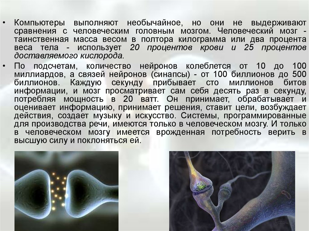 Количество нейронов