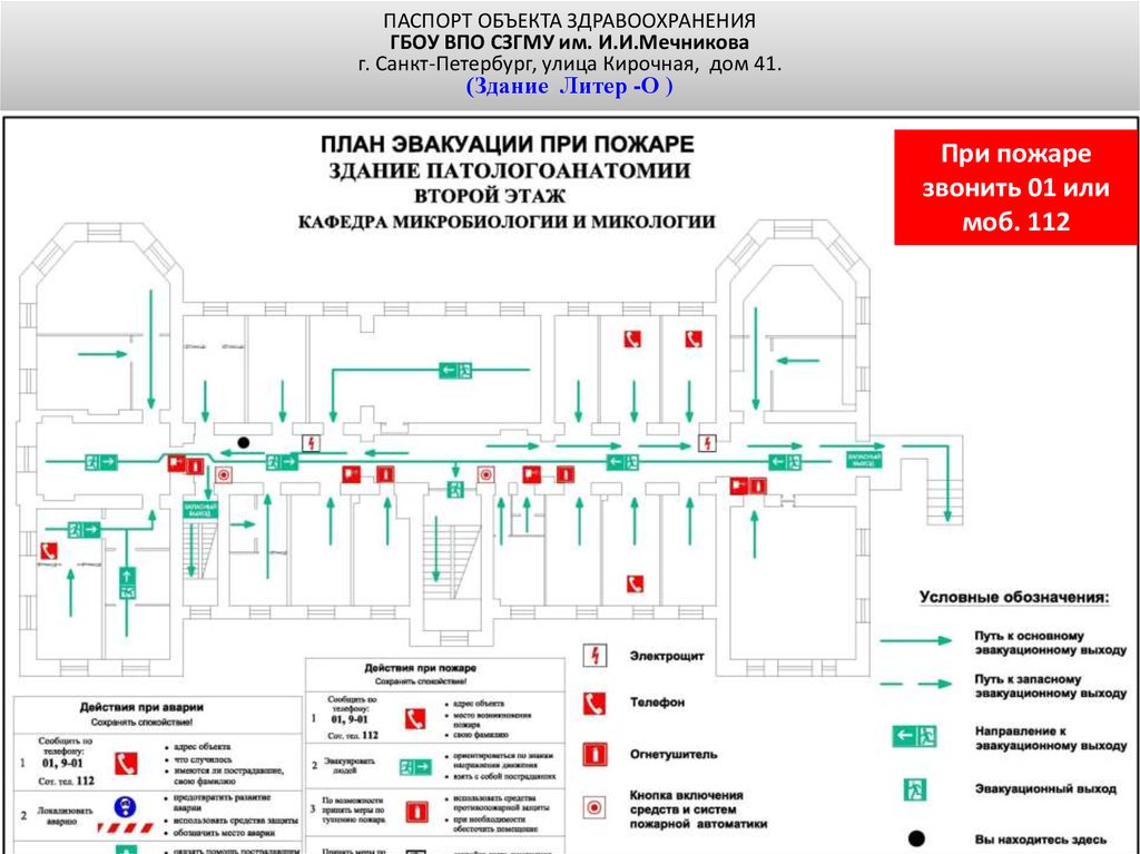 Схема больницы мечникова на пискаревском 47