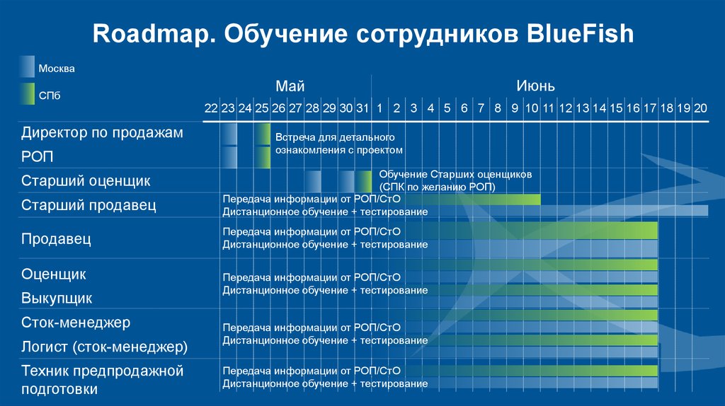 Время образования теста. Дорожная карта финансового директора. Роадмап тестировщика. Road Map пример. Дорожная карта обучения персонала.