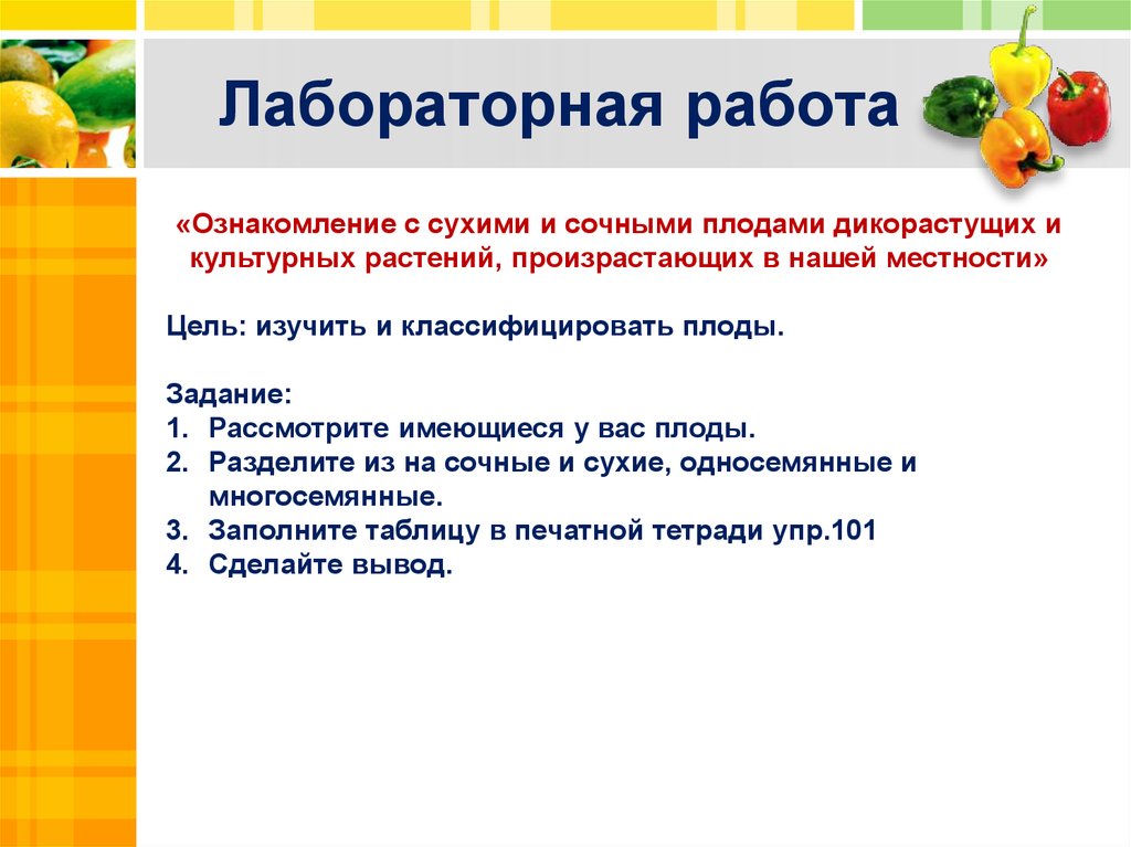 Лабораторная работа цель изучить. Лабораторная работа плоды. Лабораторная работа многообразие сухих и сочных плодов. Лабораторная работа классификация плодов. Цель лабораторной работы классификация плодов.