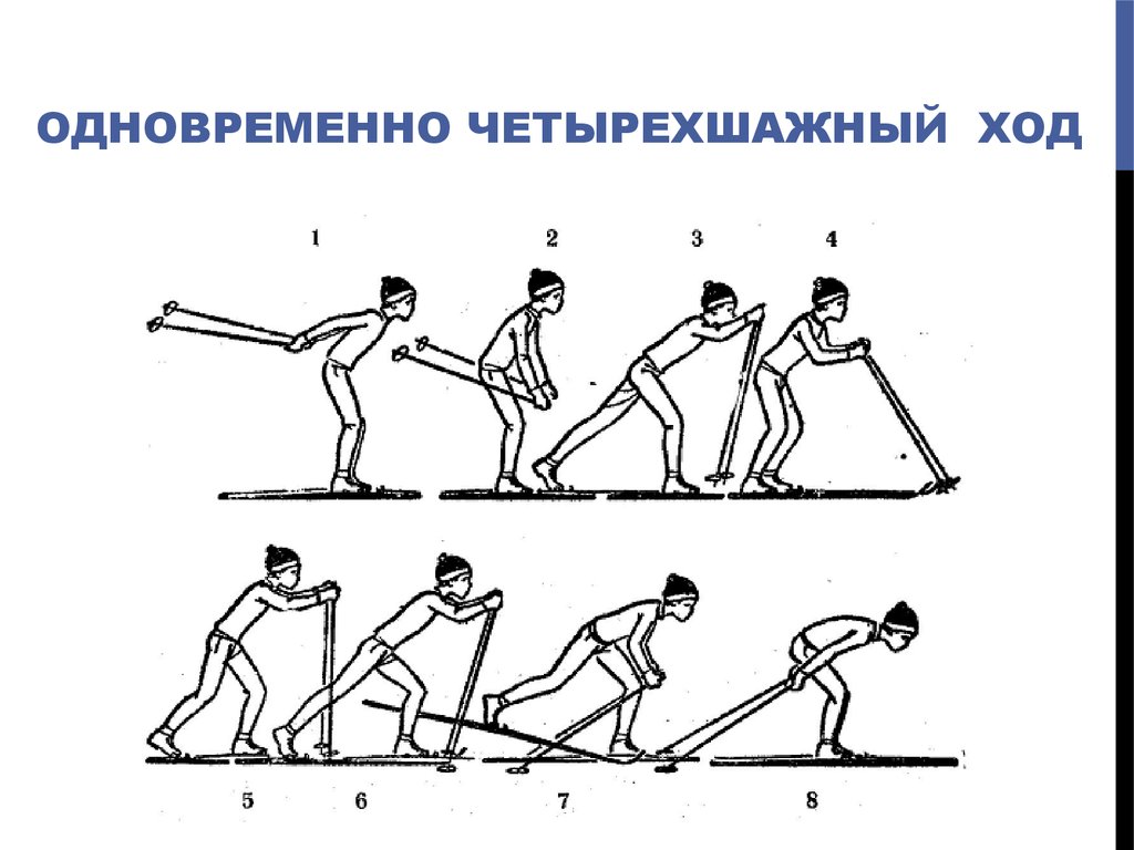 Классические лыжные ходы. Попеременный четырехшажный ход на лыжах. Попеременный четырехшажный ход техника. Лыжные ходы попеременный четырехшажный ход. Одновременный четырехшажный ход.