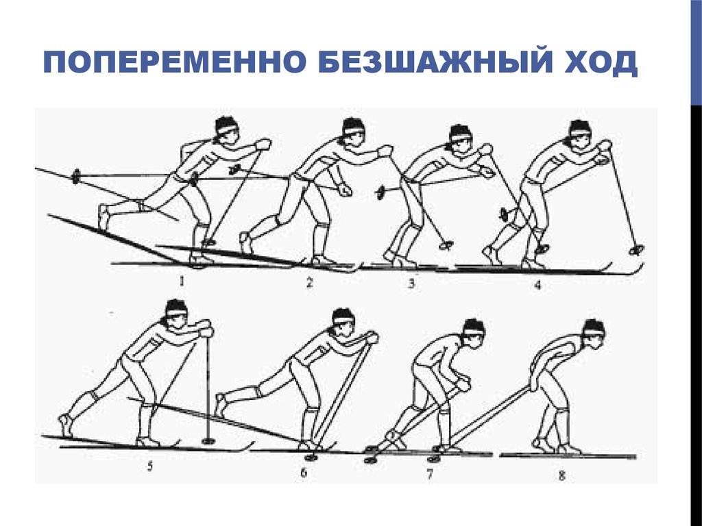 Передвижение одношажным ходом. Техники лыжного хода попеременный двухшажный. Бесшажный ход одновременный двухшажный ход. Попеременный двухшажный и одновременный двухшажный ходы.. Бесшажный коньковый ход.