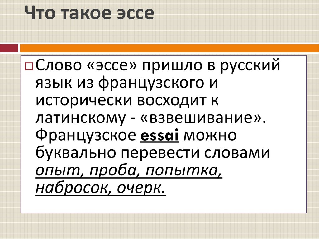 Что такое эссе