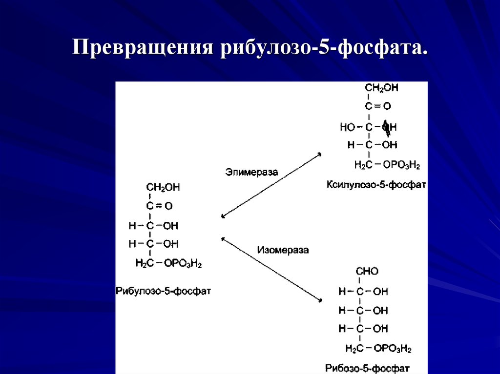 Превращения рибулозо-5-фосфата.