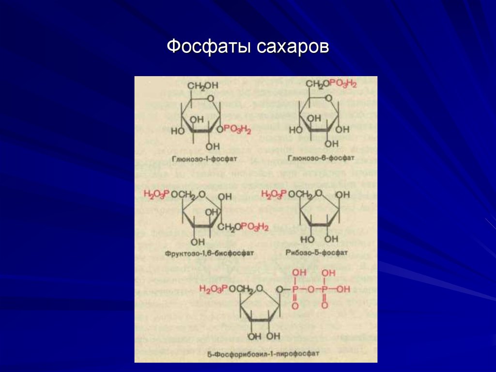 Фосфаты перечень. Сахарный фосфат. Фосфаты Сахаров в природе. Основной фосфат. PP фосфат.