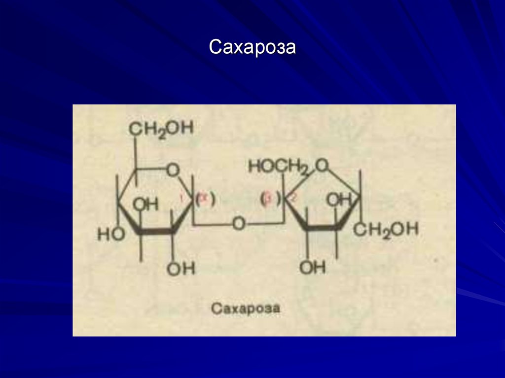 Рисунок сахароза геншин