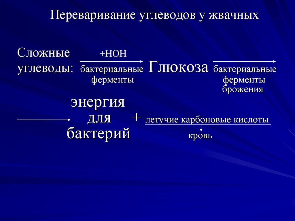 Фермент амилаза содержит