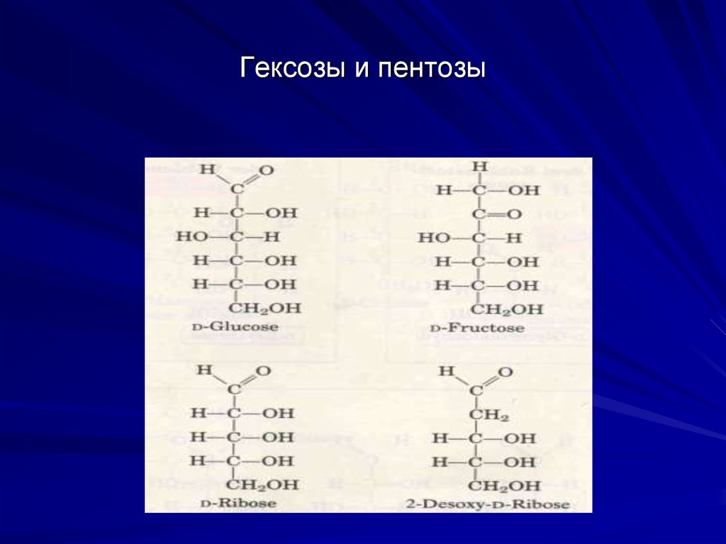 Гексоза это