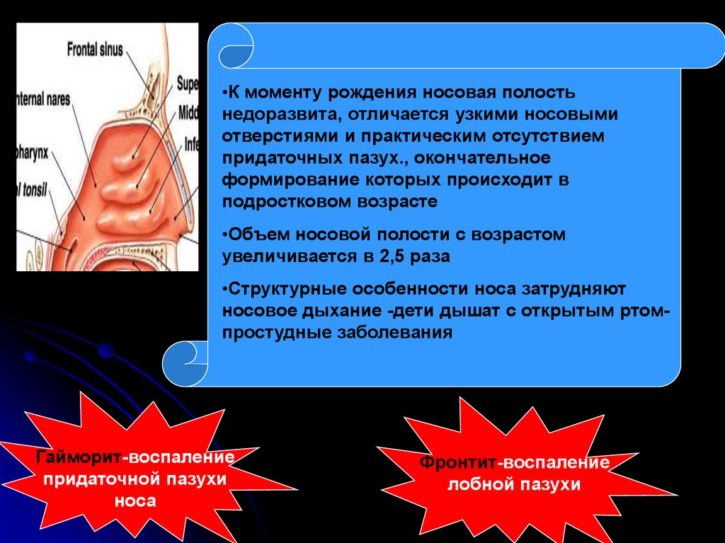 Окончательное формирование. Газообмен в носовой полости. В носовой полости происходит газообмен. Какой процесс называют дыханием. Окончательное формирование легких.