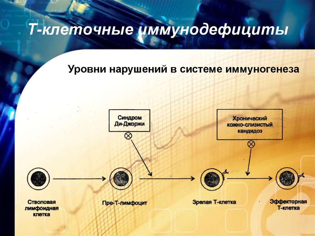 Гуморальный иммунодефицит. Т клеточниммунодефицит. Первичные т клеточные иммунодефициты. Клинические проявления т-клеточного иммунодефицита. Т лимфоцитарный иммунодефицит.