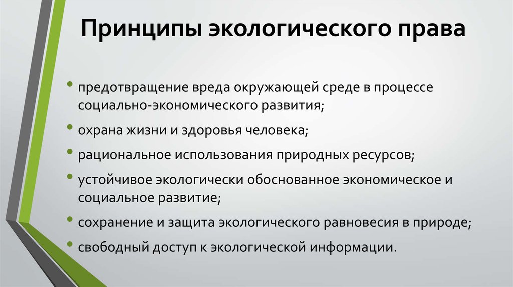 Развернутый план экологическое право