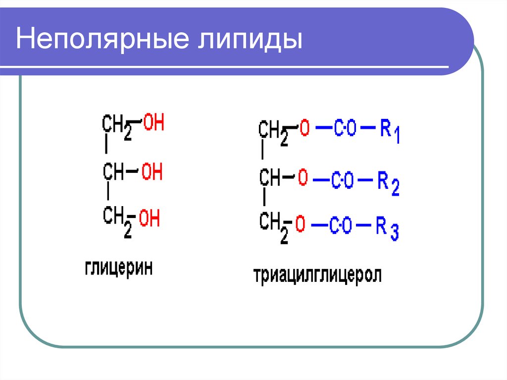 Липиды неполярные вещества. Неполярные липиды. Полярные и неполярные липиды. Общая формула липидов. Строение липидов.