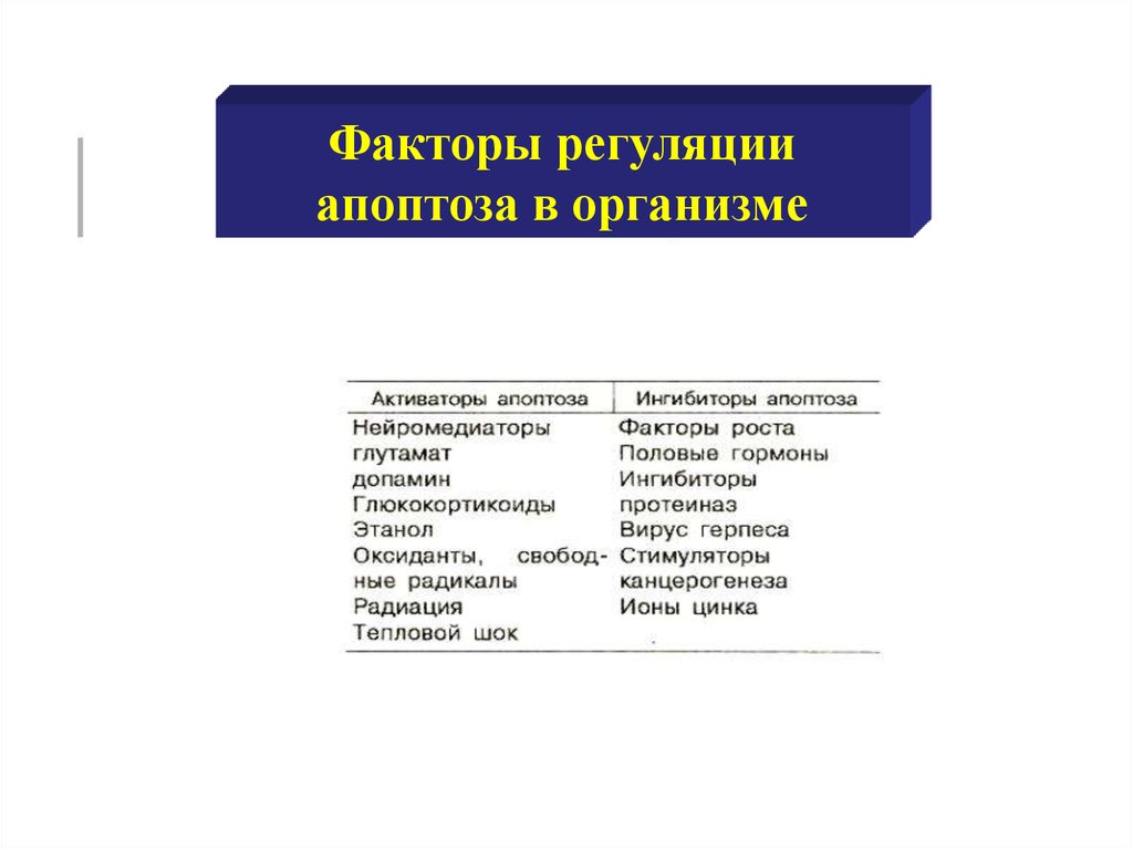 Факторы регуляции. Решающий фактор регуляции усталости – это…. Регуляторные факторы. Факторы регуляции восстановления.