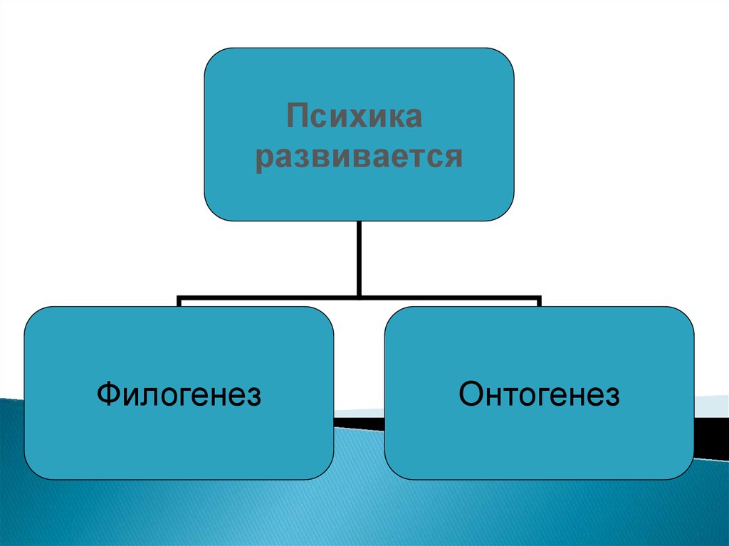 Общение онтогенез