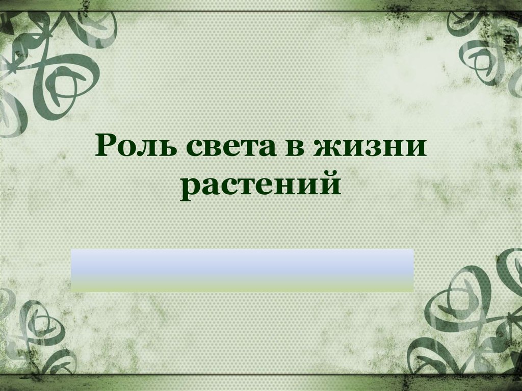 Роль светы в жизни растений