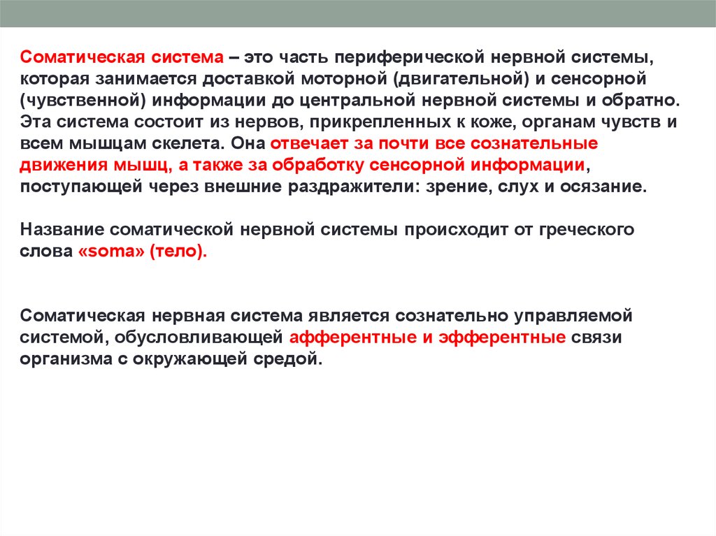 Соматическая система. Соматическая сенсорная система. Соматическая нервная система состоит из. Отделы соматической сенсорной системы. Соматическая система этт.