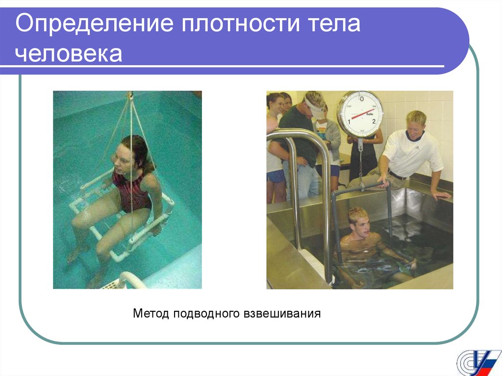 Плотность человека физика. : "Определение плотности человека". Измерение плотности тела человека. Плотность тела человека средняя. Метод подводного взвешивания.