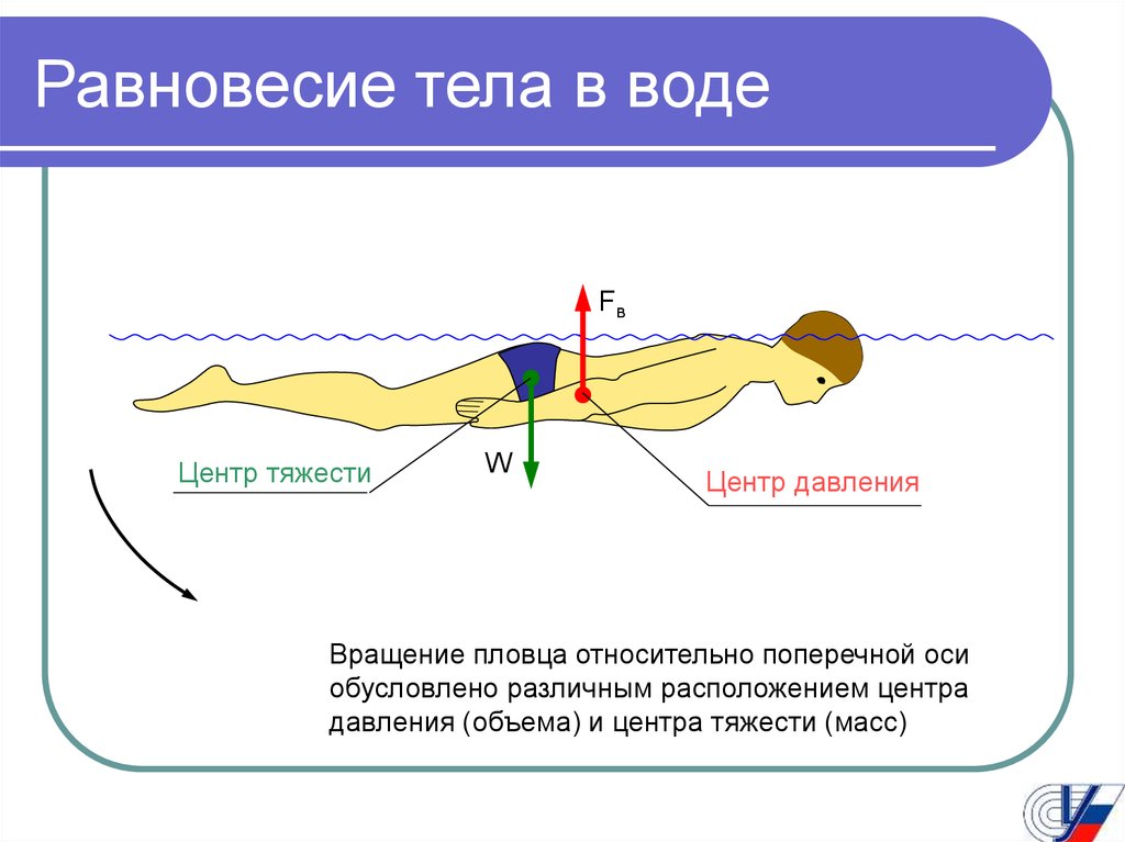 Вод равновесие. Гидростатическое равновесие тела пловца. Равновесие тела в воде. Условие равновесия тела в воде. Силы действующие на пловца.