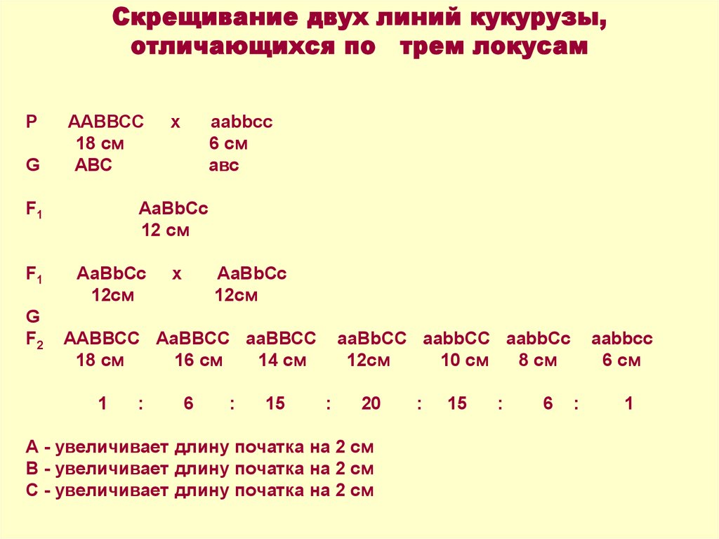 Качественные и количественные признаки презентация