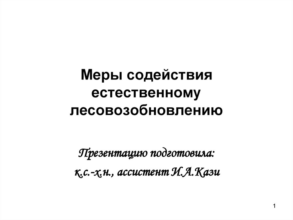 Проект мероприятий по содействию естественному лесовозобновлению