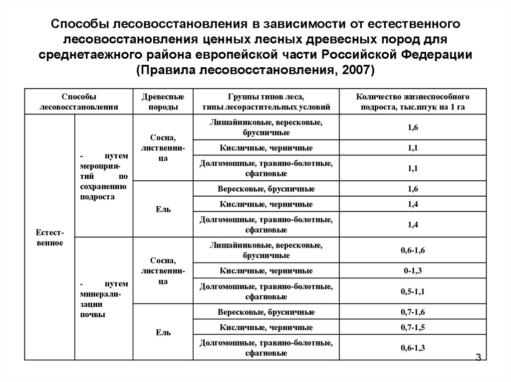 Правила лесовосстановления 1024