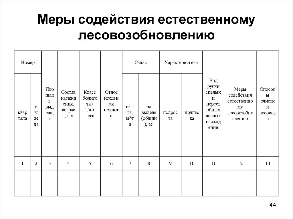 Проект мероприятий по содействию естественному лесовозобновлению