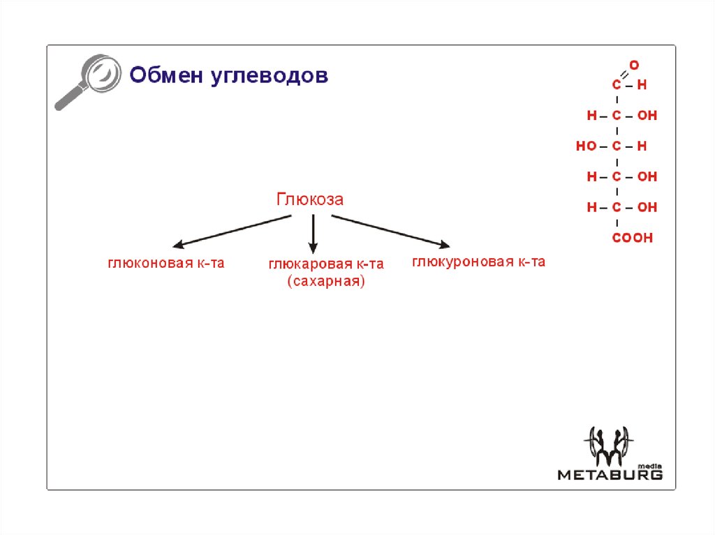 Обмен углеводов карта