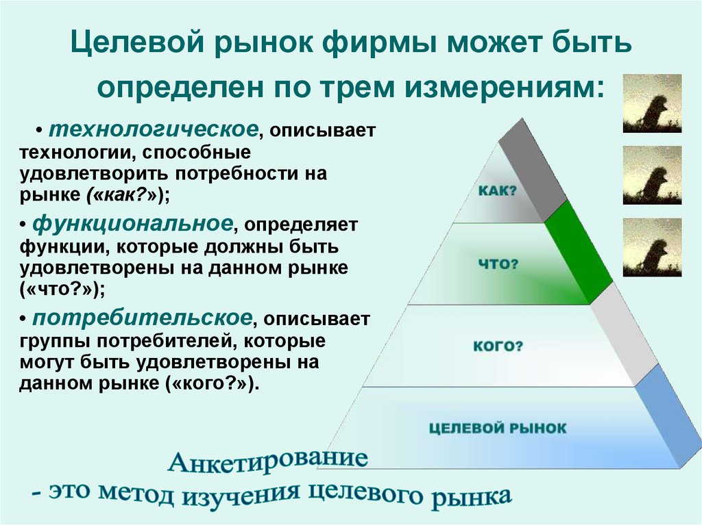 Определение целевой. Целевой рынок фирмы это. Целевой рынок это в маркетинге. Целевые рынки предприятия. Целевой рынок пример.