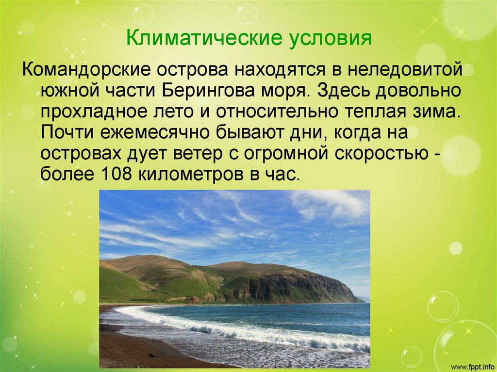 Почему не было острова. Заповедник Командорские острова карта. Командорские острова острова Берингова моря. Командорский заповедник о нем. Командорские острова природная зона.