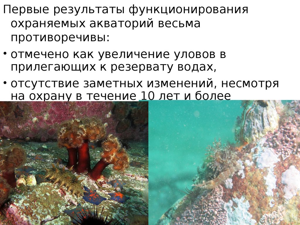 Течение охрана