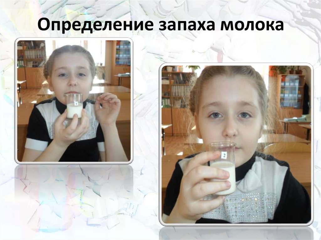 Запах молока. Определение запаха молока. Оценка запаха продуктов. Запах молочный. Запах в молоке.