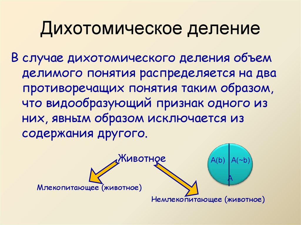 Дихотомическая картина мира