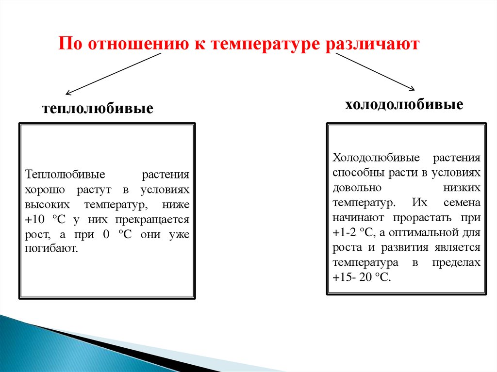 Влияние температуры на жизненные процессы презентация